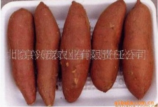 553ϺH04(ͼ)