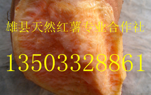 ӱصعϷԴ