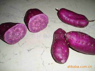 ձϸ