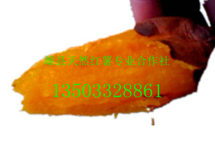 شͺź7Ѯʼ