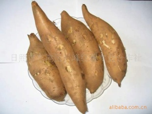 553عũ431عźŵعϵ