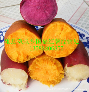 .۰غ138ڸкõعϷƷ