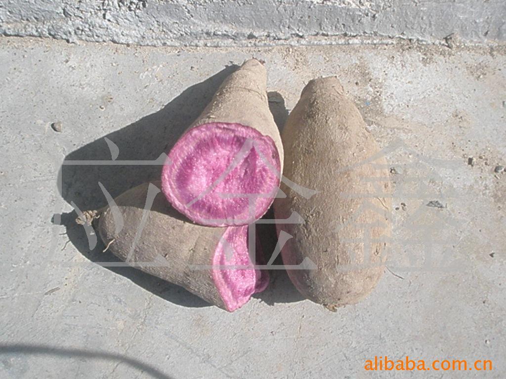 ޹ʳ