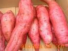 ޹عϵعϼ