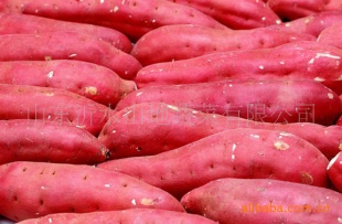 ޹عϡڼʵع