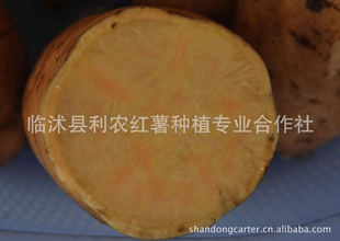 Ҫú뵽ũ!500ֱ553ʽ