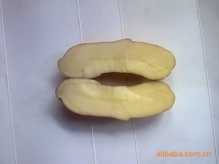 л