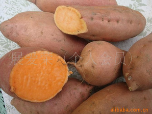عϸԭϺӪڸк޹