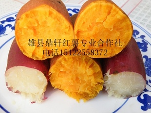 ص翾138