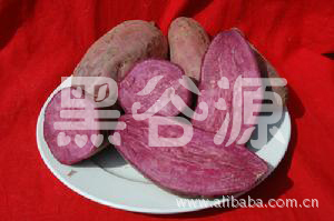 ҺںںۺںƷ