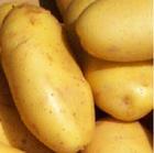 ڼ
