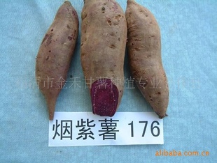 *2ţ176