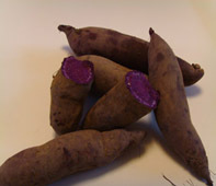 Ϻں