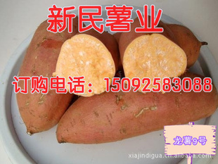 Ľԭ9ŵعϺ