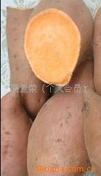 񶬵عƷлӭѡ