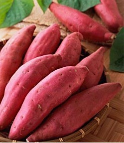 عʳԵعϺʳعϺ