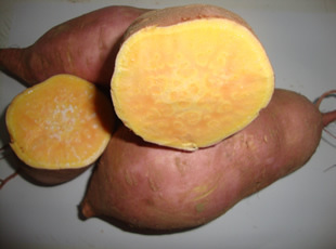 9ţ