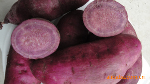 紫薯_紫番薯_黑薯_黑地瓜_黑红薯_黑甘薯_紫山芋_PurplePotato_