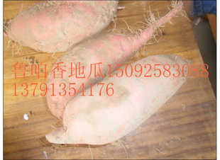*25ع³һźڸƷʤ138553