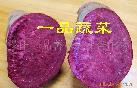 紫甘薯销售紫地瓜