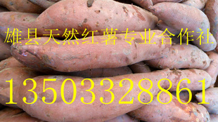 ְֱװζ