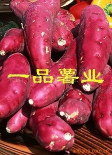 عϸϵع
