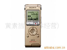 ICD-UX200F(2GB)¼