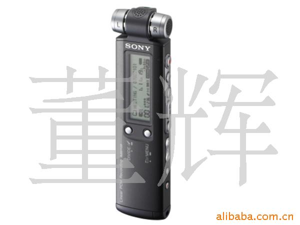 ICD-SX800(2GB)¼