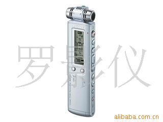 ICD-SX800(2GB)