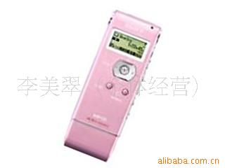 ICD-UX81F(2GB)¼