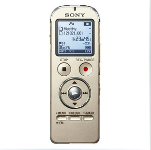 SonyICD-UX534F8GB¼л