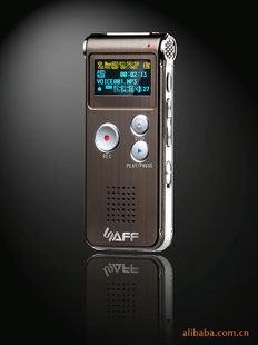 SAFF¼-2002GB