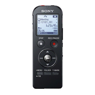 Sony/ICD-UX533F4G¼л
