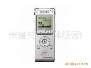 ¼ICD-UX400(8G)