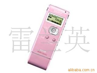¼ICD-UX81F(2GB)