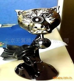 綩ָͷ