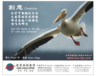 泧ңӭ٣