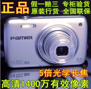 Pamiel/DC-Z8л140025佹