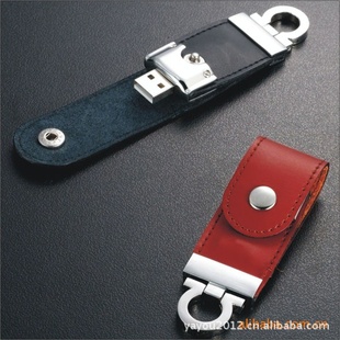 Uֱ洢USB2.0UƷƷU