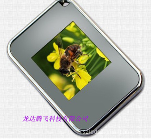 1.5ԿСƻ9·ݿѧƷƷ