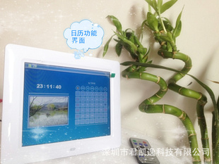 ֱ8磬