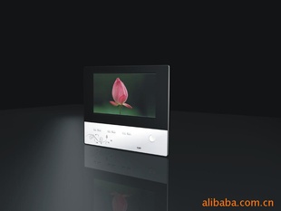 77糬Ʒ