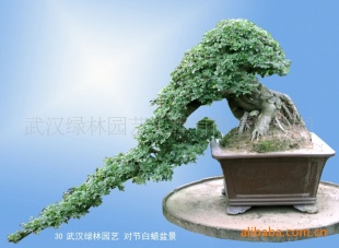Խڰ辰;ͼֵ