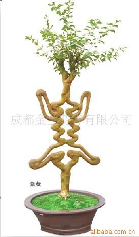 ޱ辰