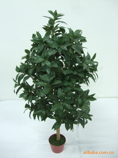 仿真树,仿真月桂树,仿真植物