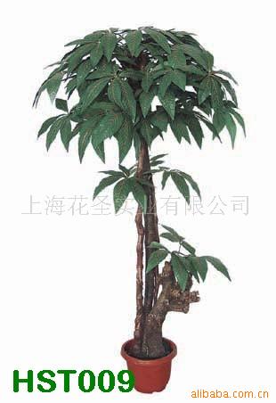 ֲֲԸ160cm