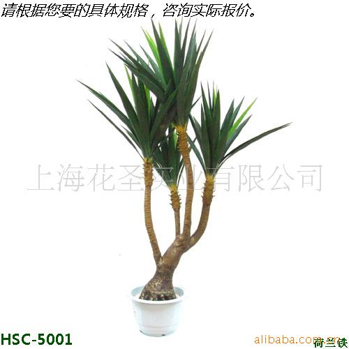 批发办公室仿真植物