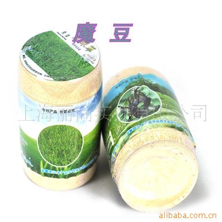 竹杯装环保植物(魔豆)