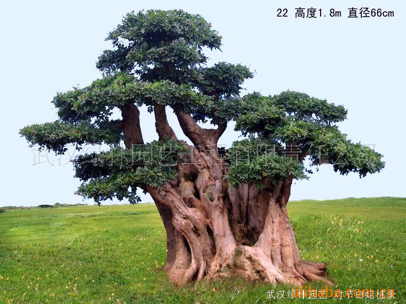¶Խڰ׮22(ͼ)