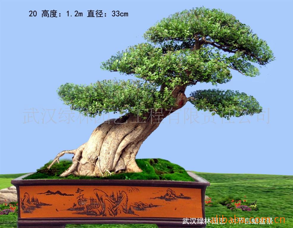 ¶Խڰ׮辰(ͼ)